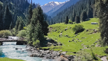 Jammu