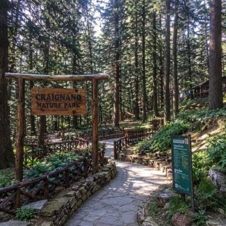 Stone pathway and towering deodar trees at Craignano Nature Park in Mashobra, a peaceful sightseeing attraction included in the Shimla Tour Package from Delhi.