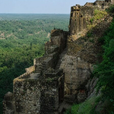 Ancient stone walls and stairway of Ranthambore Fort overlooking the lush forests of Ranthambore National Park in Sawai Madhopur, Rajasthan.