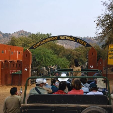 ranthambore-national-park-entry-gate-safari-jeeps